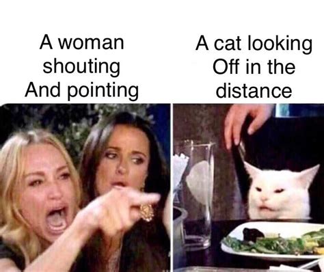 women pointing at cat meme|know your meme woman yelling at cat.